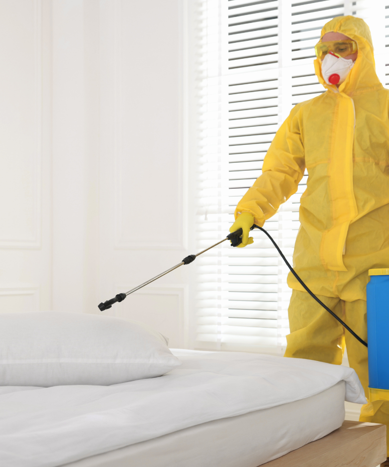 Professional Pest Control Team in Bellevue Heights